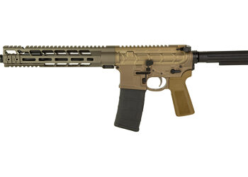 PWS MK1 M2-M PTL 223WYLDE 11.85" KB