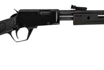 ROSSI GALLERY 22MAG 20 BLUED BLK SYNTHETIC 12RD