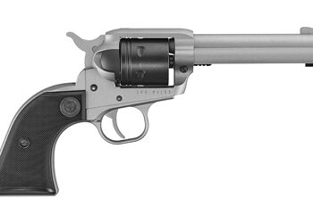 RUGER WRANGLER 22LR 4.62" 6RD SLV