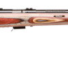 SAVAGE ARMS 93 BOLT 17HMR BL/LAM SPIR FLT# 1 SV93R17BRJ AT