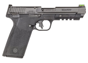 Alternative view of S&W M&P 22WMR 4.35" OR MS 10RD BLK