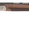TSA2033134