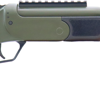 ROSSI BRAWLER 300BLK 9" BL/ODG     #
