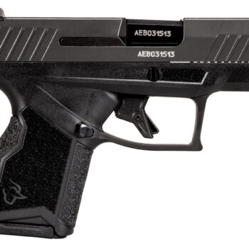 TAURUS GX4 9MM BLK/GRAPHENE 13+1    #