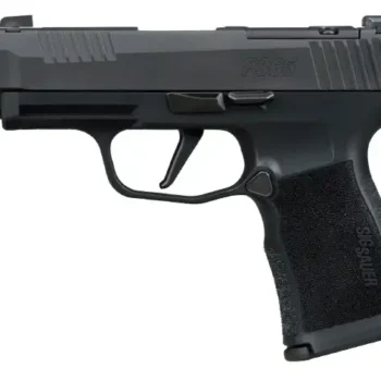 SIG P365 380ACP 3.1 OR (2) 10RD BLK COMP