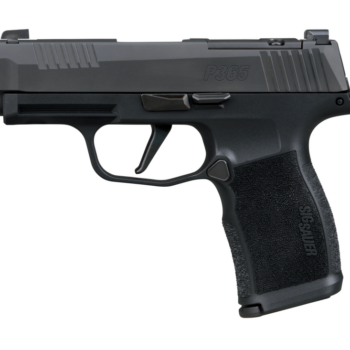egunco 61 Alternative view of SIG P365 380ACP 3.1 OR (2) 10RD BLK COMP