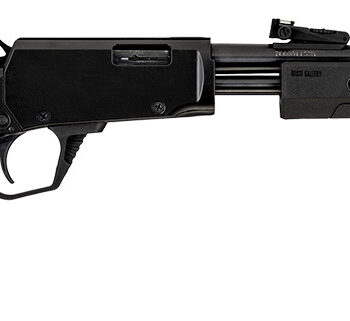 Rossi  Gallery  Pump 22 WMR 12+1 20", Black, Polished Steel Barrel/Rec, Synthetic Stock, Fiber Optic Sights