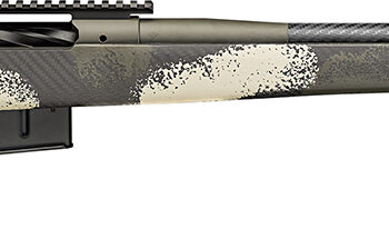 SPG BAW924300PRCCFG 2020 WYPNT 300PR 24 EVGRN