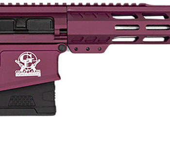 Great Lakes Firearms GL10308SSCHY GLFA  308 Win 10+1 18" AR-10 Stainless Steel Black Cherry