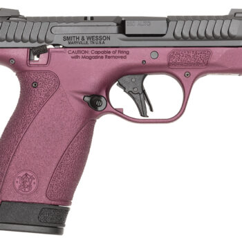 S&W BODYGRD 2.0    14661 380      TS H-319 BCF