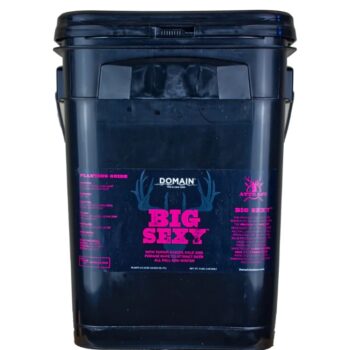 DOMAIN BSFP34      BIG SEXY