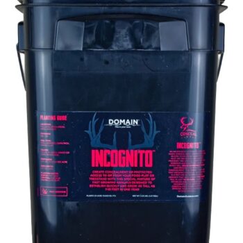 DOMAIN INCFP325    INCOGNITO