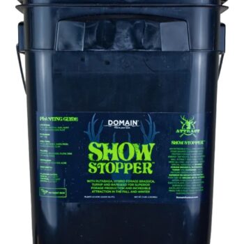 DOMAIN SSFP34      SHOW STOPPER
