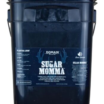 DOMAIN SMFP325     SUGAR MOMMA
