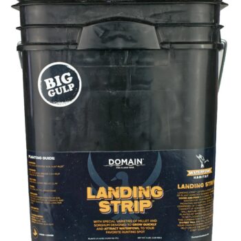 DOMAIN LSFP5       LANDING STRIP