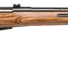 Savage Arms 18528 25 Lightweight Varminter-T 223 Rem 4+1 Cap 24" Matte Black Rec/Barrel Natural Brown Laminate Fixed Thumbhole Stock Right Hand (Full Size) with Detachable Box Magazine 2 52967
