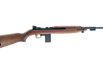 CHIAPPA M1-22 22LR 18" 10RD WD BLK