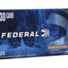 FE30CA 1