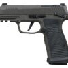P365AXGCA