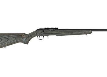 Alternative view of RUGER AMERICAN RF 17 HMR 18" BL 9RD