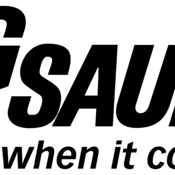 SIG SAUER P365 AXG EQUINOX 9MM 3.1" 12+1