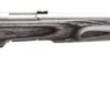 SAVAGE ARMS B.MAG 17WSM SS/LAM THBHL HVBBL 1 SVBMAGTHHB17WSM