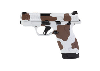 S&W BDYGRD 2.0 380ACP 2.75 12RD COW