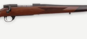 WBY VANGUARD 2 22-250 24 TB SPORTER