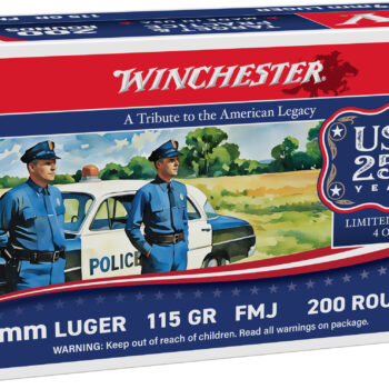 WIN USA 250TH 9MM 115GR FMJ 1000RD CASE
