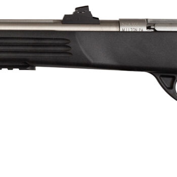KEYSTONE SPORTING ARMS CRICKETT PISTOL 22LR SS/BLK TB