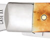 Case 03573 Trapper 3.25" Folding Clip Point/Spey Plain Mirror Polished Tru-Sharp SS Blades, Burnt Dark Amber 6.5 BoneStag Handle 1 176155