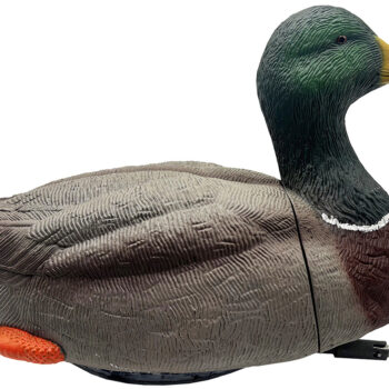 Mojo Outdoors HW2554 Dabbler Duck  Mallard Drake Species