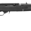 194231
