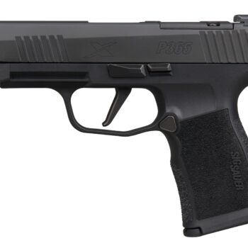 Sig Sauer 365XL9BXR3P15 P365XL  Micro-Compact 9mm Luger 15+1 3.70" Black Barrel, Black Nitron Stainless Steel Optic Ready/Serrated Slide, Black Stainless Steel Frame w/Accessory Rail, Black X Polymer