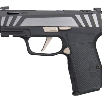Sig Sauer 365AXG9COMPEQ P365 AXG Equinox Compact 9mm Luger 12+1 3.10" Equinox/Nitron Stainless Steel Optic Ready Slide, Equinox Black Stainless Steel Frame w/Picatinny Rail, Black G10 Grip