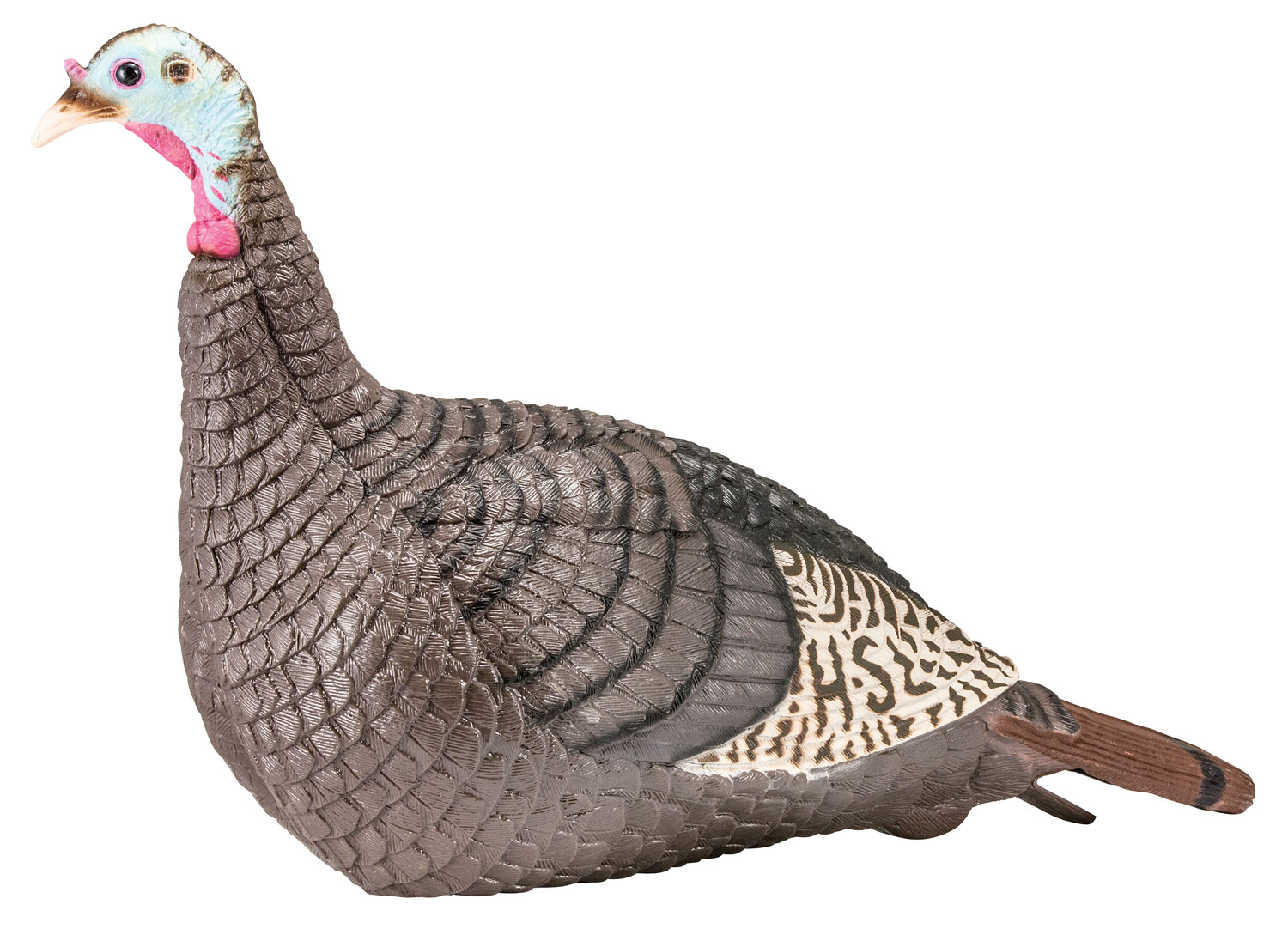 HS Strut 100001 Strut-Lite Hen Wild Turkey Species Multi Color Synthetic 3 HS Strut 100001 Strut-Lite Hen Wild Turkey Species Multi Color Synthetic