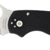 Spyderco C223GP Para 3 2.95" Folding Clip Point Plain Satin CPM S45VN SS Blade/ Black G10 Handle Includes Pocket Clip 2 44913