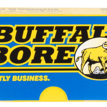 Buffalo Bore Ammunition 8B20 Lever Gun Strictly Business 45-70Gov 405gr Semi Jacketed Flat Point 20 Per Box/12 Case