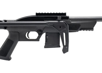 Alternative view of ROSSI RS22P 22LR 6" 10RD BLK SI BRC
