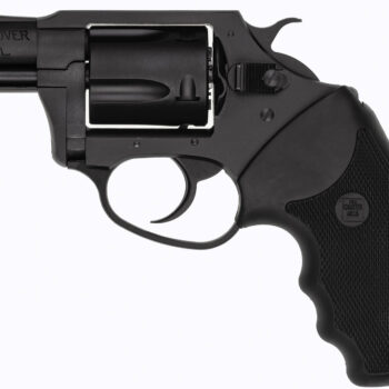 CA UNDERCOVER 38SPL 2 NITRIDE SM 5RD SHOOTER