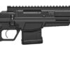 CZ2007613