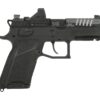 CZ91660