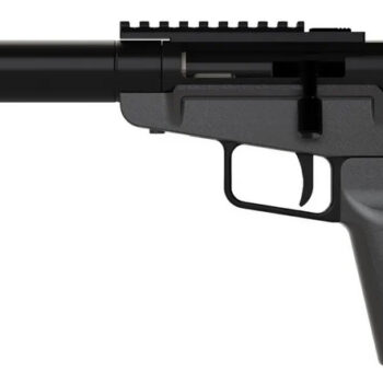 DARK MOUNTAIN ARMS STOW AWAY 9MM 5 TB BRACE