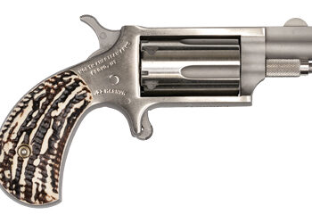 Alternative view of NAA MINI REV 22WMR 1 1/8" 5RD STAG