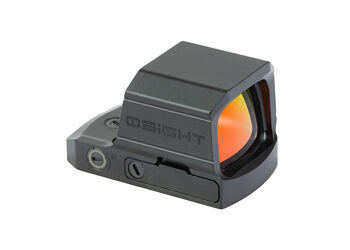 OSIGHTSEDPP 2