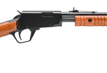 ROSSI GALLERY 22LR BL/WD 18" 15+1