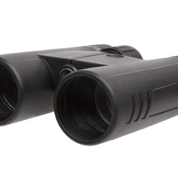 SIG SAUER BUCKMASTERS BINO 10X42 BLK