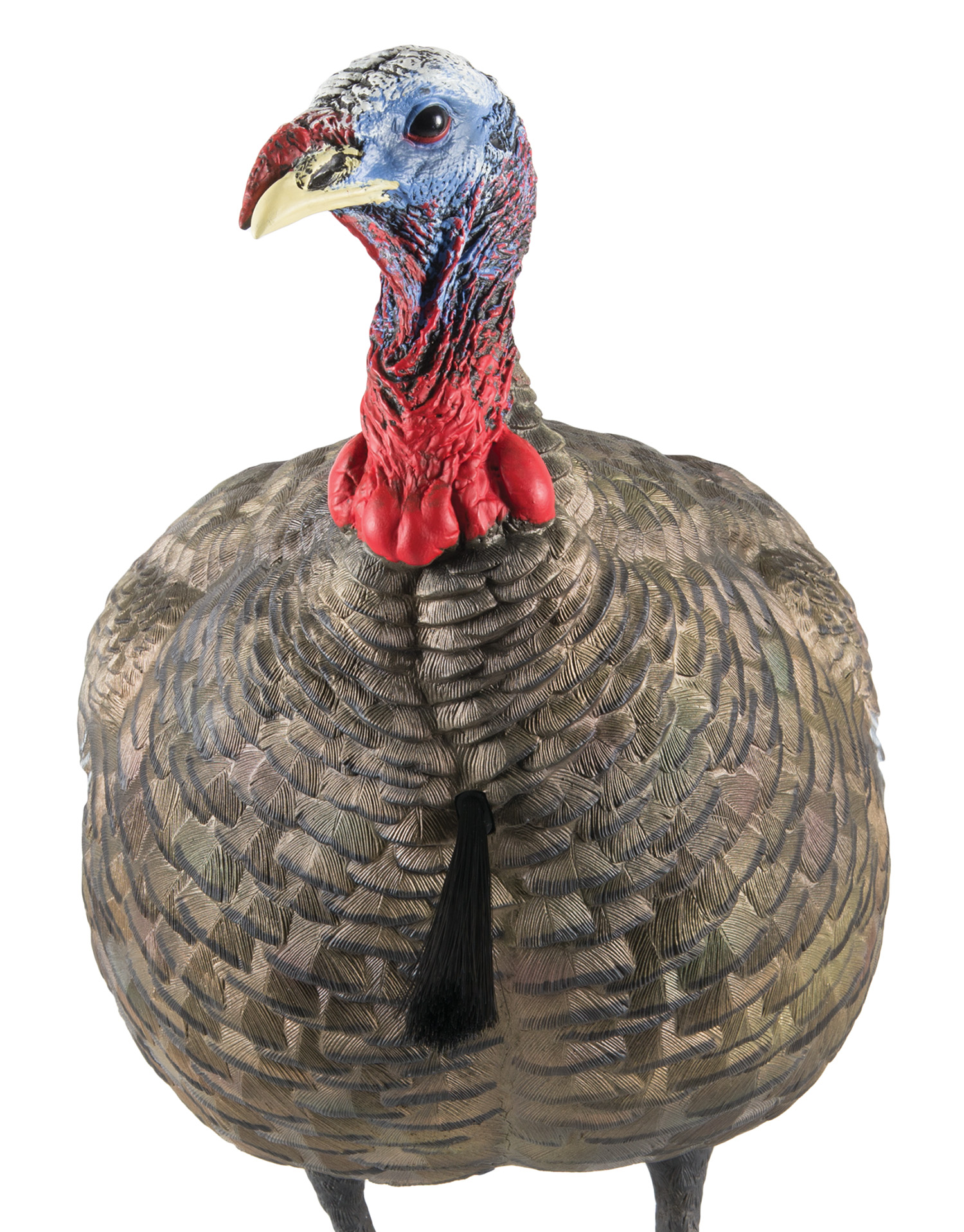 Avian X AVXAVX8003 LCD Quarter-Strut Jake Turkey Species Multi Color Dura-Rubber 3 Avian X AVXAVX8003 LCD Quarter-Strut Jake Turkey Species Multi Color Dura-Rubber