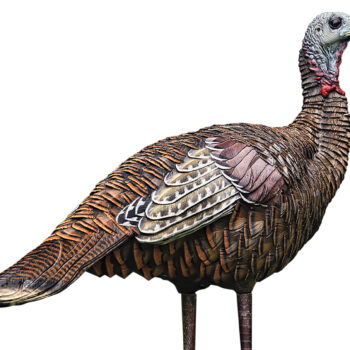 Avian X AVXAVX8006 LCD Lookout Hen Turkey Species Multi Color Dura-Rubber