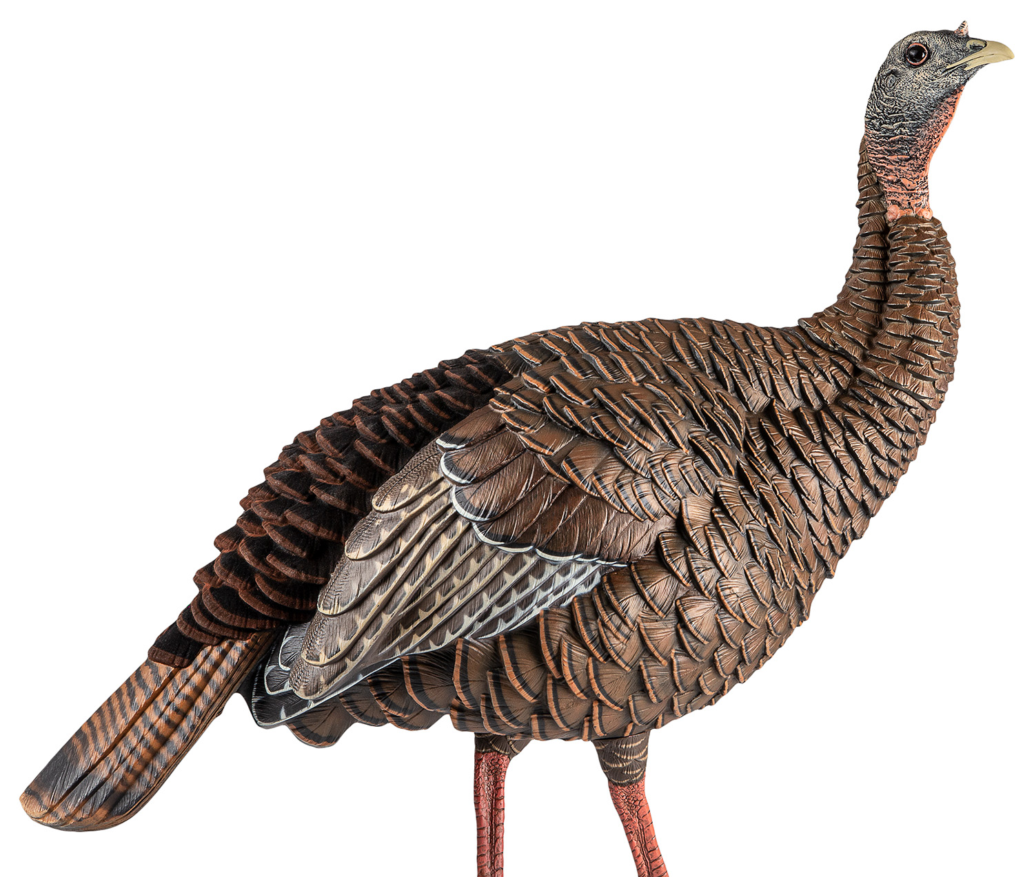 Avian X AVXAVX8106 HDR Hen Turkey Species Multi Color 3 Avian X AVXAVX8106 HDR Hen Turkey Species Multi Color